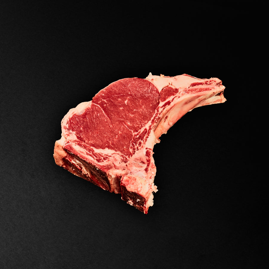 COSTATA BLONDE D'AQUITAINE