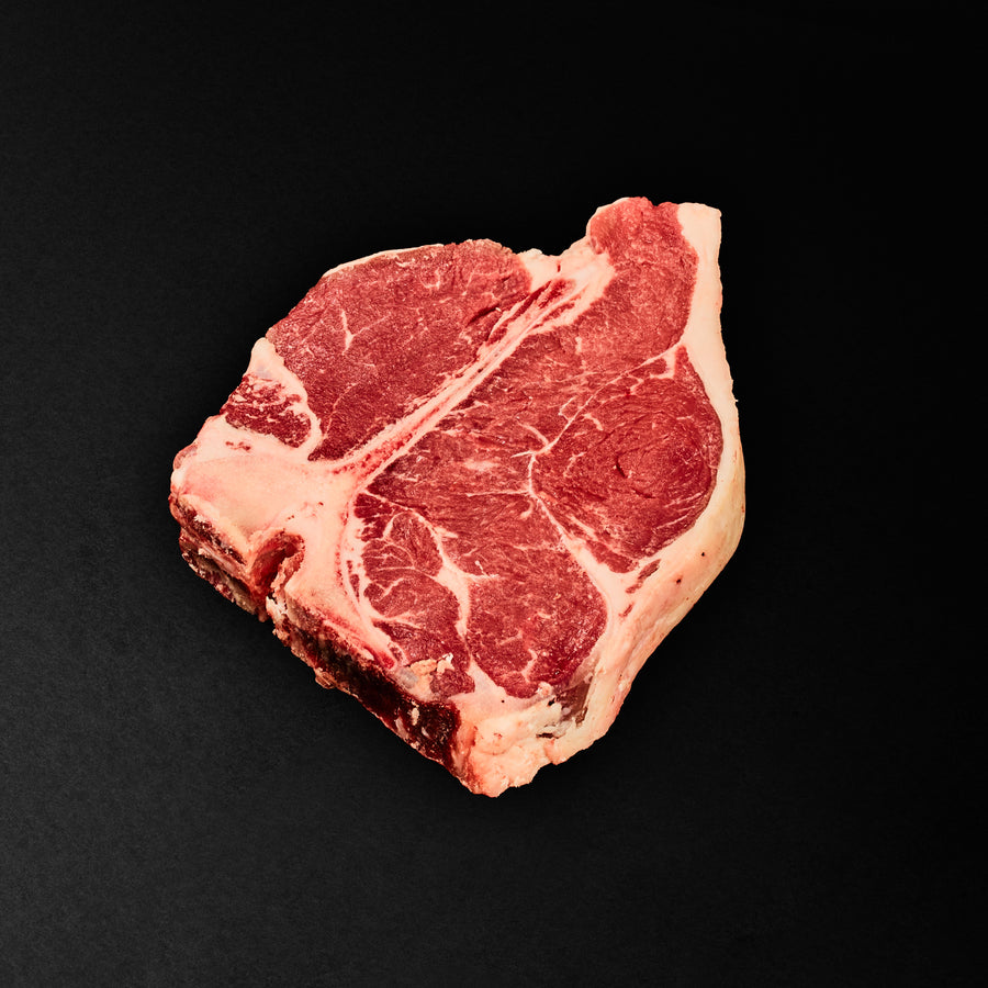 FIORENTINA BLONDE D'AQUITAINE