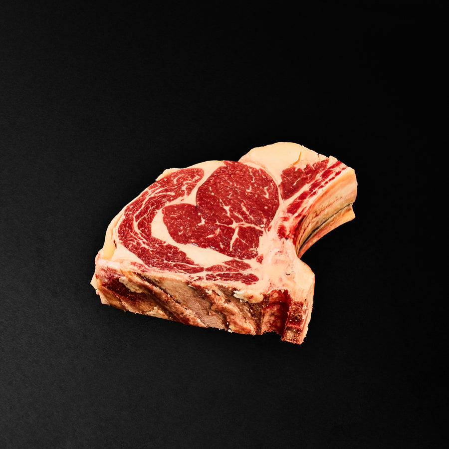 COSTATA HEREFORD