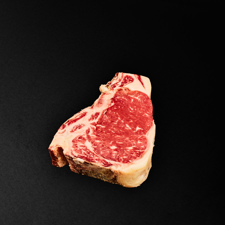 COSTATA SCOTTISH HIGHLANDER