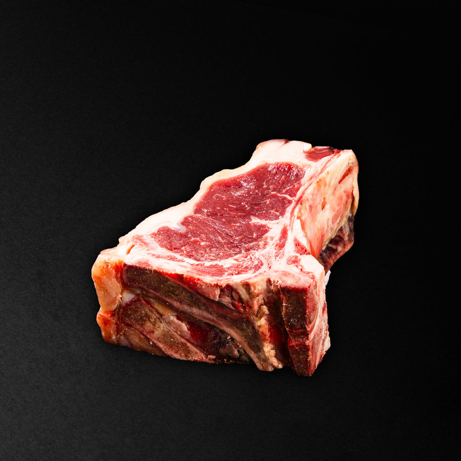 COSTATA MOOI MOOI