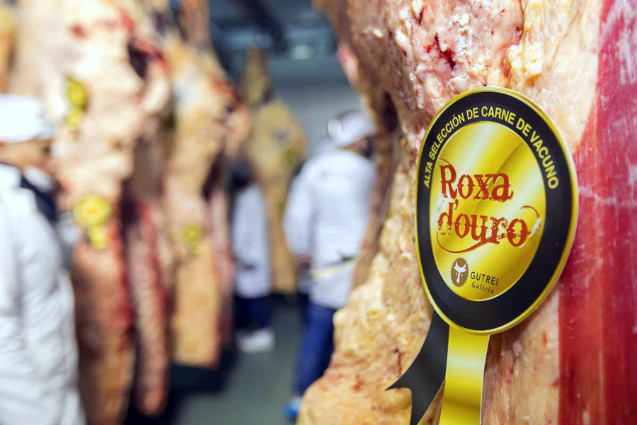 COSTATA RUBIA GALLEGA GUTREI ROXA D'OURO