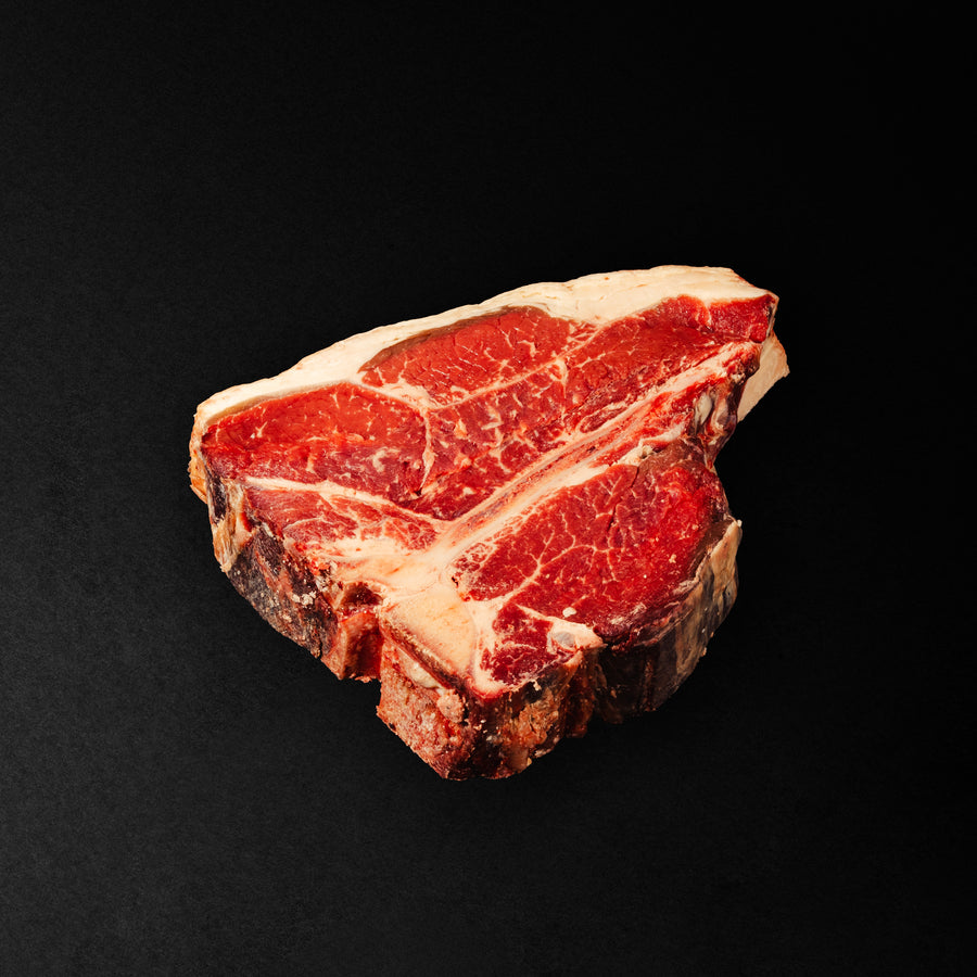 FIORENTINA MORA DEL BALTICO